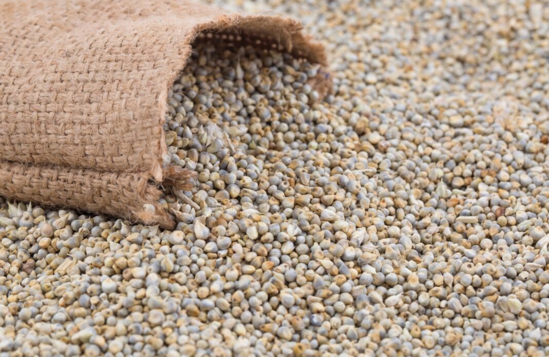 Bajra Benefits for Health