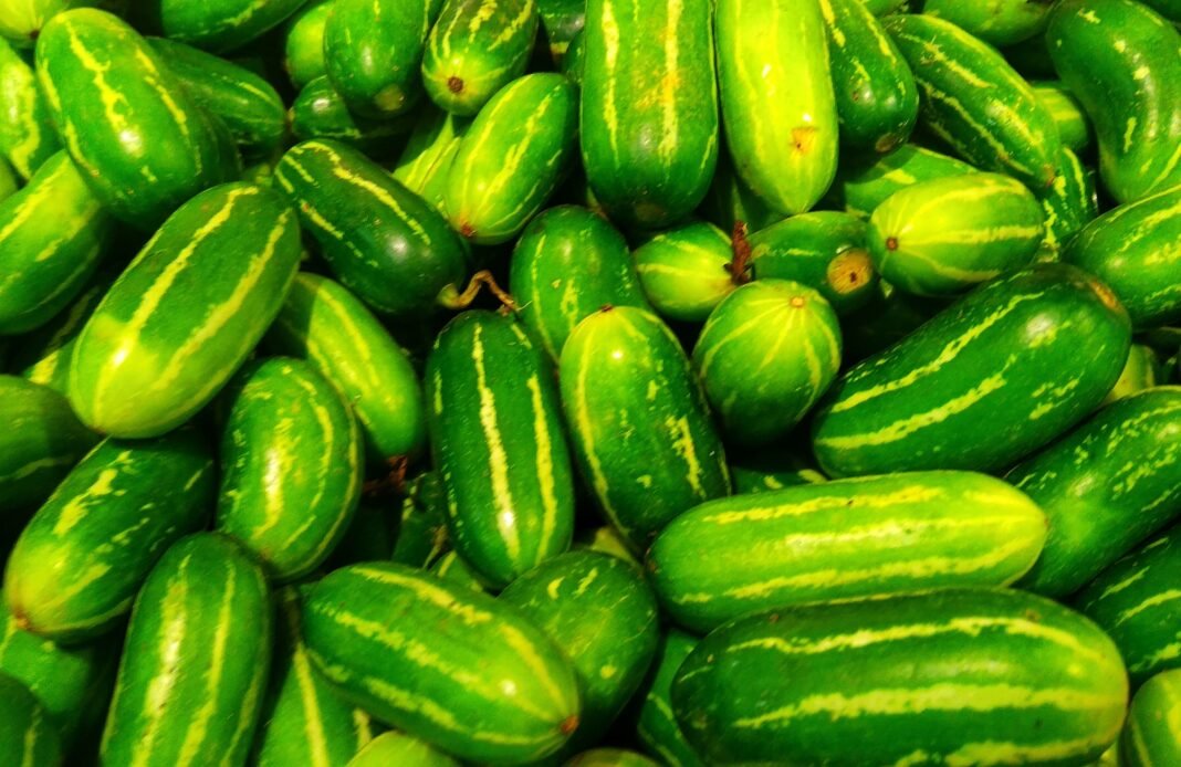 Benefits of Eating Kundru