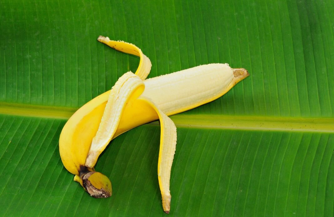 Health Benefits of Bananas